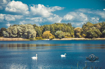 Am Stadtrand / https://vk.com/e.vaguro

https://www.instagram.com/vaguro_v_u_v/

https://web.facebook.com/evgeniy.vagouro

https://www.pexels.com/ru-ru/@10472344