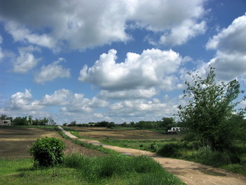 Weg / ***