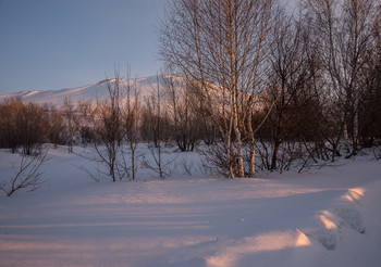 Abendlicht / [img]https://i.imgur.com/KwTxMyQ.jpg[/img]
