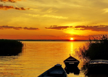 Golden Evening / ***