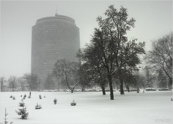 &nbsp; / [img]https://i.imgur.com/L3PwRCo.jpg[/img]