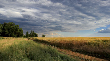 Bald Sturm / ***