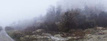 Nebel / ***