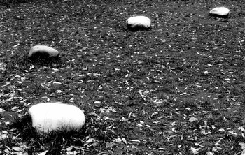 Eine Zeit, Steine ​​zu sammeln ... / ***