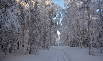 Schnee Allee / ***