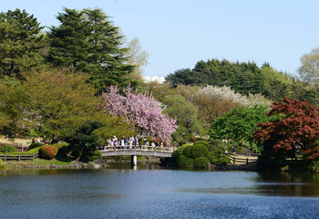 Frühling Geschichte / ...