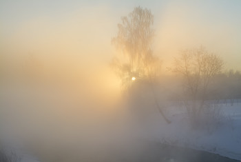 Morgen / ***