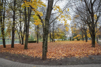 Im Herbst des Parks ... / ***