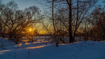 Januarabend / ***