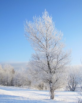 Winterlandschaft / ***