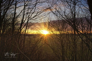 Der Frühling kommt bald. (Zweite Chance) / Sonnenuntergang in den letzten Wintertagen.