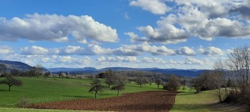 wie gemalt / schönes Wetter auf dem Dinkelberg