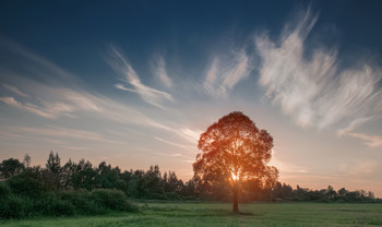 Anfang Oktober / ***