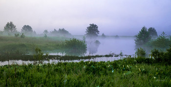 Nebliger Morgen / ***