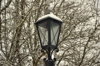 Taschenlampe / ***