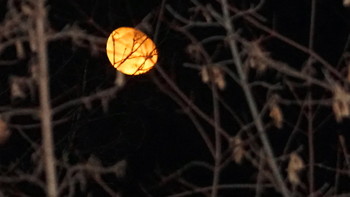 Mond / ***