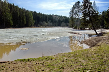 Frühlings-Teich / ***