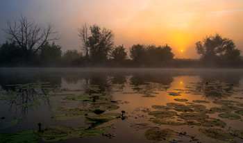 Morgendämmerung / ***