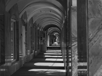  / A Time for Sunny Windows...