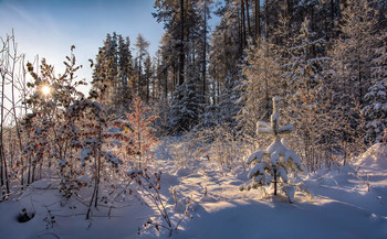 Winterlandschaft / ***