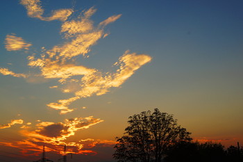 Morgendämmerung / ***