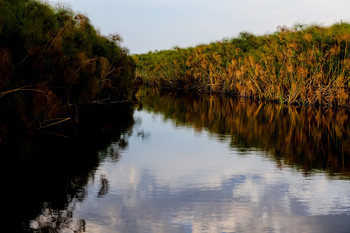 abends im Okavango Delta / aufgenommen bei einem abendlichen Bootsausflug in Afrika