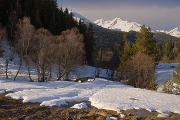 Frühling in den Bergen / ***