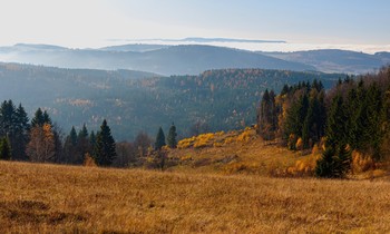 Góry Sowie / +++