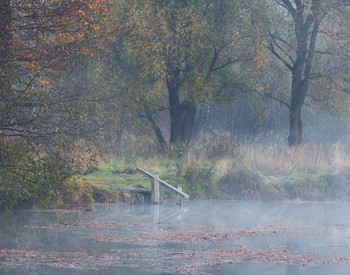 Herbstnebel / ***