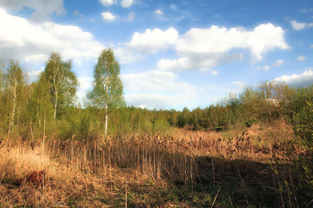 Unter dem blauen Himmel / ***