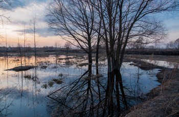 Hohe Wasser / ***