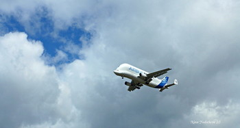 AIRBUS. BELUGA / ***