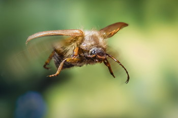 Zeit bis zum Fliegen / ***