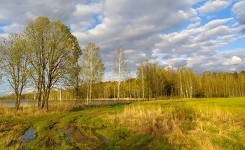 Der Frühling kommt / ***