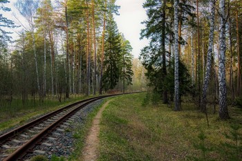 Narrow Gauge / ***