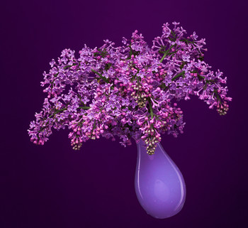 Lilac Bouquet / ***