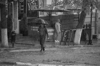 &nbsp; / Rainy Day...