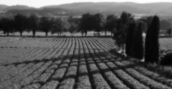 Strawberry fields / https://www.youtube.com/watch?v=44GB53rnI3c
Let me take you down
'Cause I'm going to Strawberry Fields
Nothing is real
And nothing to get hung about…