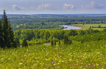 Summer Landscape ... / ***