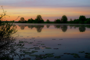 Mai Morgen / ***