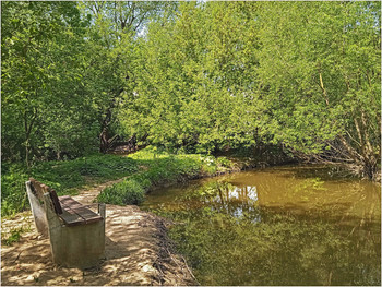 Quiet Corner / ***
