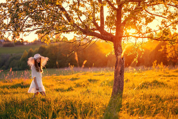 Bei Sonnenuntergang / ***