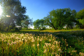 Die letzten Dinge / ***