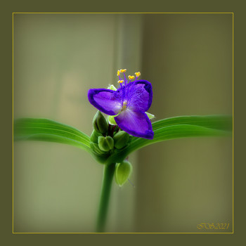 &nbsp; / [img]https://i.imgur.com/jtowZtb.jpg[/img]