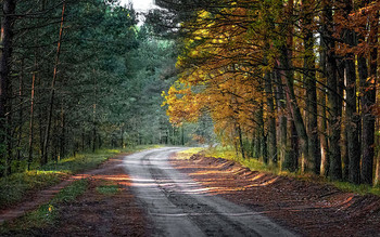 Forststraße / ***