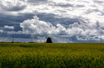 Nach dem Regen / ***