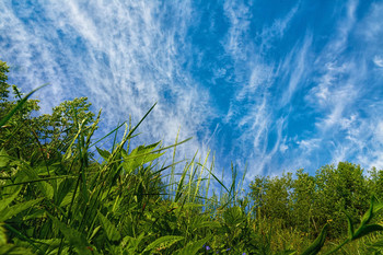 Himmel / ***
