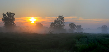 Nebel zerstreut / ***