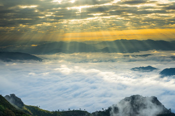 Crepuscular sun rays during sunrise over mist mountain / Crepuscular sun rays during sunrise over mist or foggy mountain at Phu Chi Dao Chaing Rai province, Thailand
