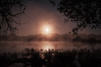 Dawn on Hemp / ***